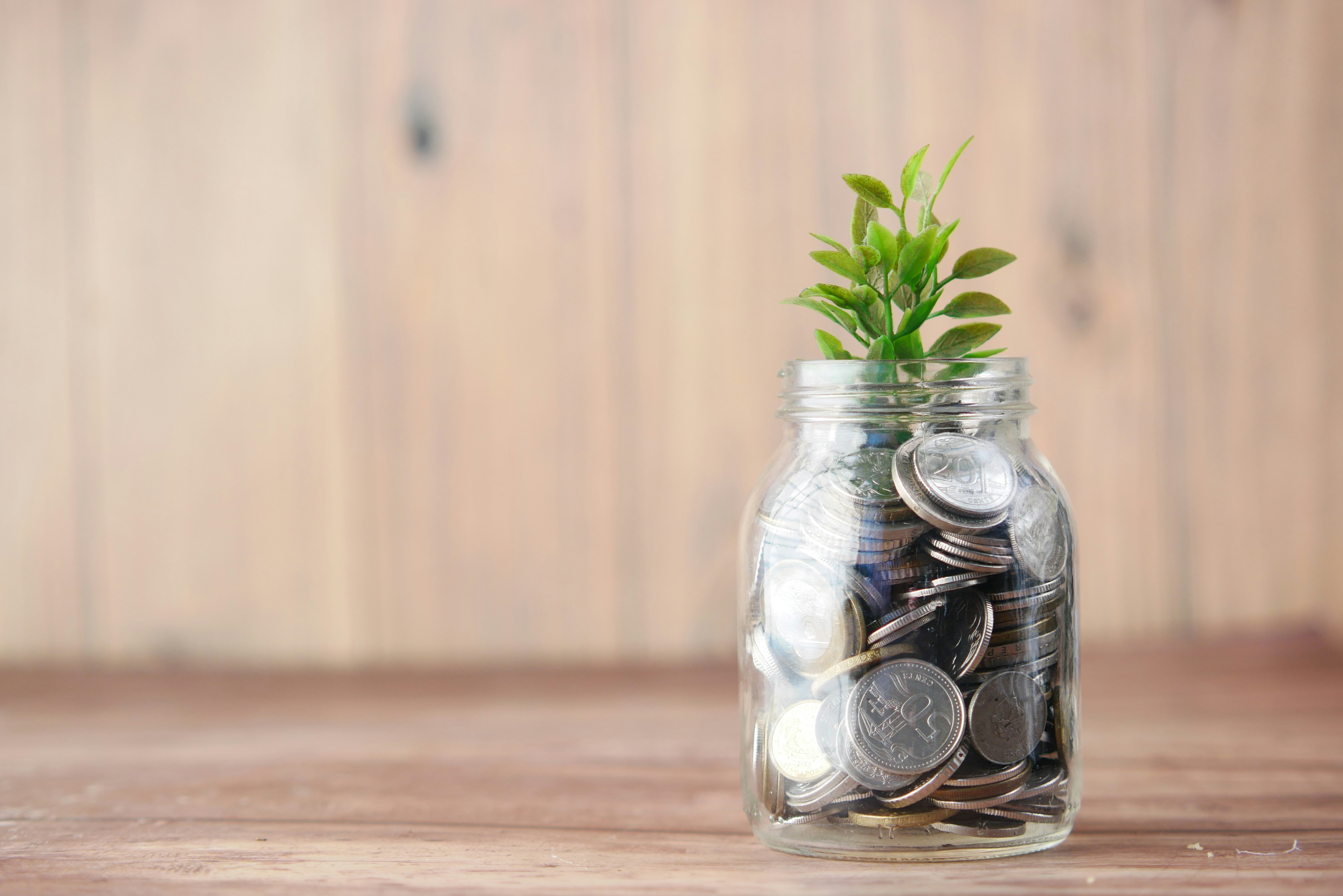 Coins in a jar with a plant growing in it.